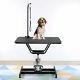 Professional Heavy Duty Hydraulic Pet Dog Cat Groomer Grooming Table Witharm Noose