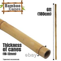 Strong Heavy Duty Thick Bamboo Good Quality Plant Support Garden Canes 2FT-8FT