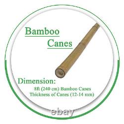 Strong Heavy Duty Thick Bamboo High Quality Plant Support Garden Canes 2FT-8FT