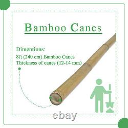 Strong Heavy Duty Thick Bamboo High Quality Plant Support Garden Canes 2FT-8FT