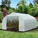 Walk-in Tunnel Greenhouse Gardening Planting Shed Heavy Duty 3.5lx 3wx 2h M
